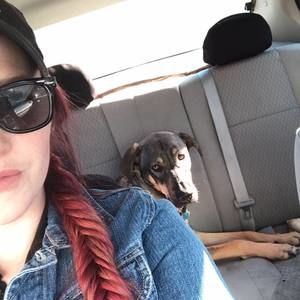 Meet your Posher, Rebecca